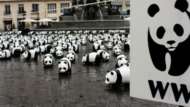 L'ottimismo delle ong WWF e OXFAM