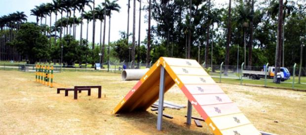 Espaço 4 Patas, dedicado exclusivamente para cães Espaço 4 Patas, dedicado exclusivamente para cães