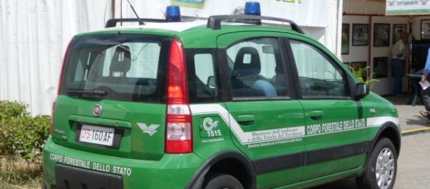 foto mezzo corpo forestale dello stato foto mezzo corpo forestale dello stato