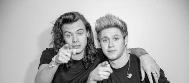One Direction-Kollegen Harry Styles & Niall Horan One Direction-Kollegen Harry Styles & Niall Horan