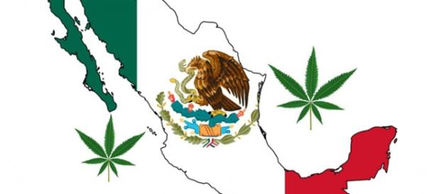 México aprueba uso Marihuana con fines recreativos México aprueba uso Marihuana con fines recreativos