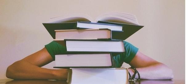 O ato de estudar não precisa ser penoso. O ato de estudar não precisa ser penoso.