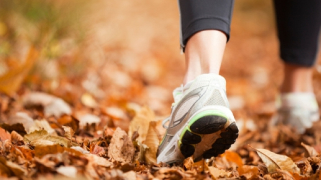 Camminare fa bene al cuore e alla dieta