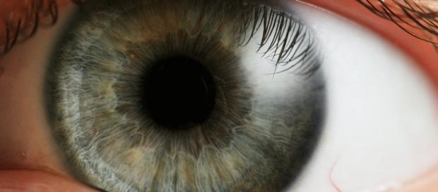 Uns ojos descuidados dicen mucho de nosotros Uns ojos descuidados dicen mucho de nosotros