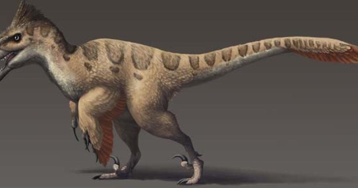 dinosaur looks like t rex with spikes