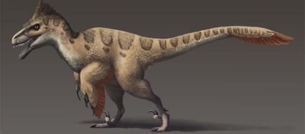 The Dakotaraptor was nearly as large as Utahraptor The Dakotaraptor was nearly as large as Utahraptor