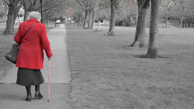 Pensioni anticipate, le novità al 7 novembre