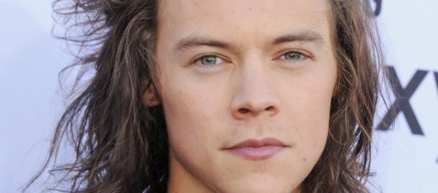 Harry Styles usa roupa feminina. Harry Styles usa roupa feminina.