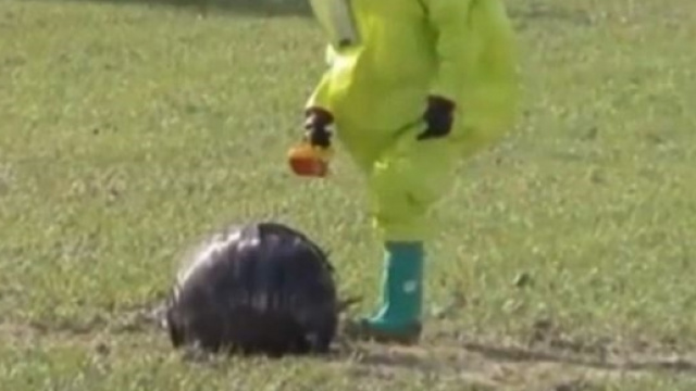 In Spagna strano oggetto arriva dal cielo