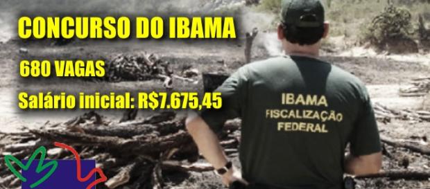 Concurso do IBAMA ofertará 680 vagas Concurso do IBAMA ofertará 680 vagas