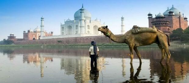 Conheça a cidade de Nova Delhi, Índia Conheça a cidade de Nova Delhi, Índia