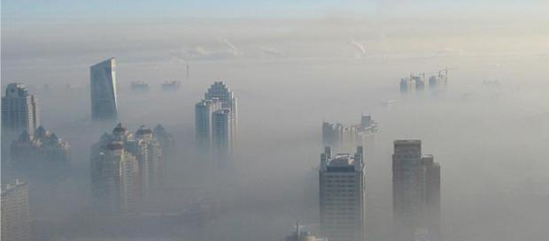 O CO2 é o principal gás com efeito de estufa O CO2 é o principal gás com efeito de estufa