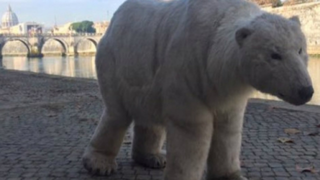 Ecco Paula, l'iniziativa di Greenpeace