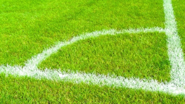 Pronostici Vicenza-Brescia e Bari-Perugia