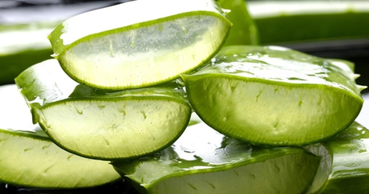 Receta Para Elaborar Un Gel De Aloe Vera Casero 1461