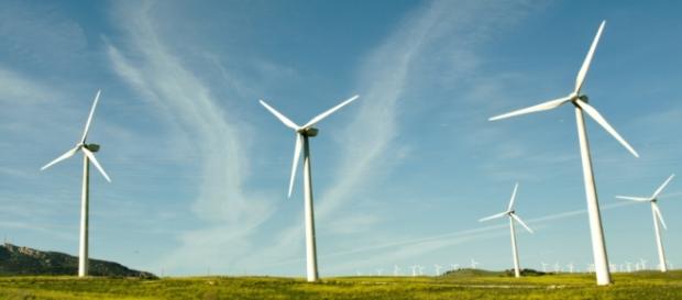 Energias renováveis em Famalicão Energias renováveis em Famalicão