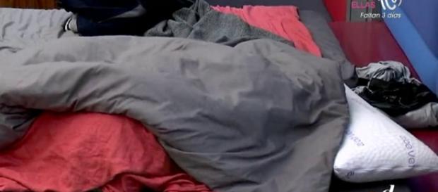 Han y Aritz bajo el edredón en GH 16 Han y Aritz bajo el edredón en GH 16