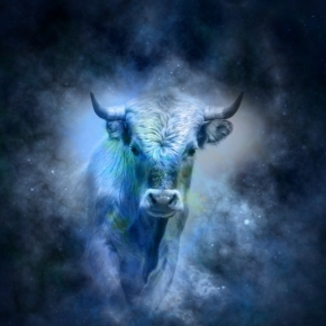 Tauro, el toro (21 de abril a 20 de mayo)