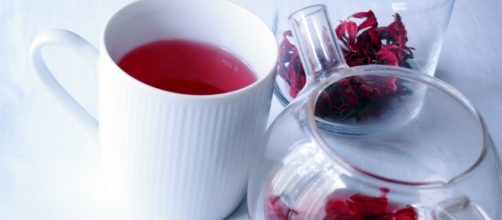 Chá de hibisco faz perder até 4 kg em 15 dias