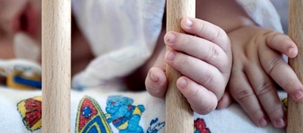 Familiares tiveram de receber apoio psicológico Familiares tiveram de receber apoio psicológico