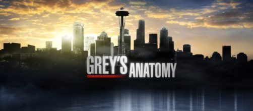 Grey's Anatomy 12, sesto episodio