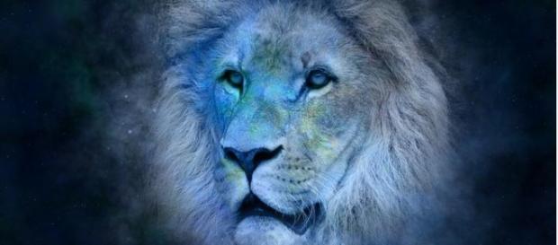 El león (de 23 de julio a 22 de agosto) El león (de 23 de julio a 22 de agosto)