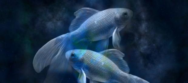 Piscis, de 23 de febrero a 21 de marzo Piscis, de 23 de febrero a 21 de marzo