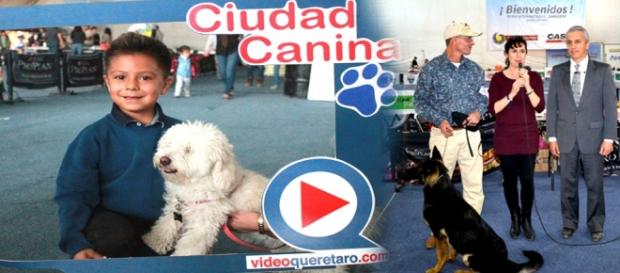 Fotos proporcionadas por videoqueretaro.com Fotos proporcionadas por videoqueretaro.com