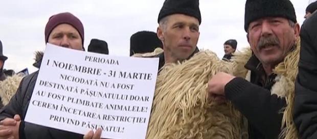 Ciobanii au luat cu asalt parlamentul Ciobanii au luat cu asalt parlamentul