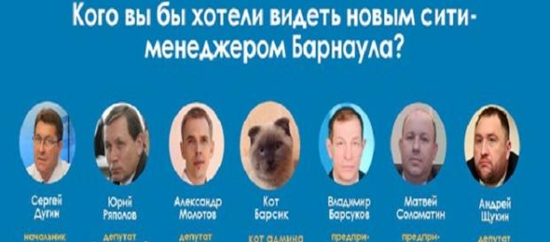 Gato lidera as sondagens em cidade russa Gato lidera as sondagens em cidade russa