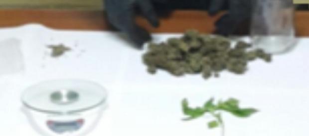 La droga sequestrata dai carabinieri nel Nisseno La droga sequestrata dai carabinieri nel Nisseno