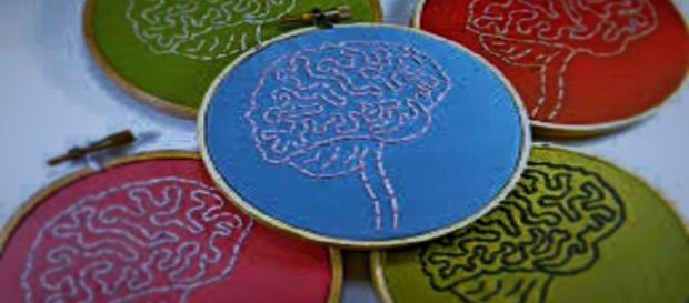 El cerebro: El órgano más importante del cuerpo. El cerebro: El órgano más importante del cuerpo.