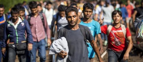 Refugiados recusam a ajuda portuguesa
