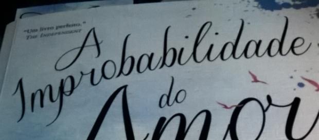"A improbabilidade do amor" de Hannah Rothschild. "A improbabilidade do amor" de Hannah Rothschild.