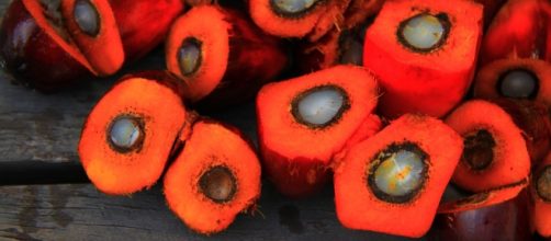 L'olio di palma contiene coloranti artificiali