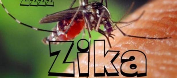 Zika, Um perigo pouco conhecido Zika, Um perigo pouco conhecido