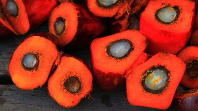 L'olio di palma contiene coloranti artificiali