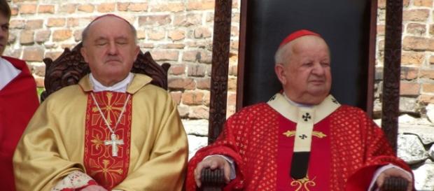 Kard. Dziwisz czuwa, zaś kard. Nycz liberalnie śpi Kard. Dziwisz czuwa, zaś kard. Nycz liberalnie śpi
