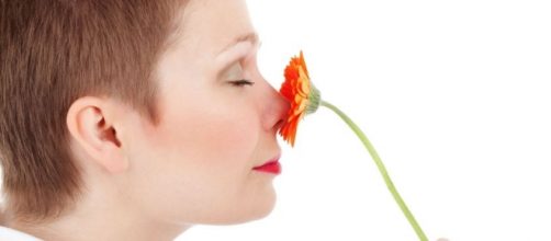 5 formas en la que los olores nos controlan
