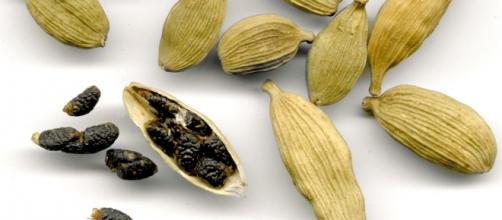 Para adelgazar cardamomo tomar