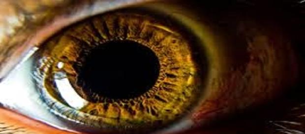 Proeza a la vista humana, héroes anónimos Proeza a la vista humana, héroes anónimos
