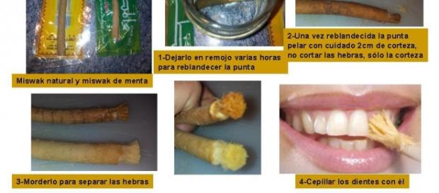 Cepillo natural para limpiar y blanquear dientes Cepillo natural para limpiar y blanquear dientes