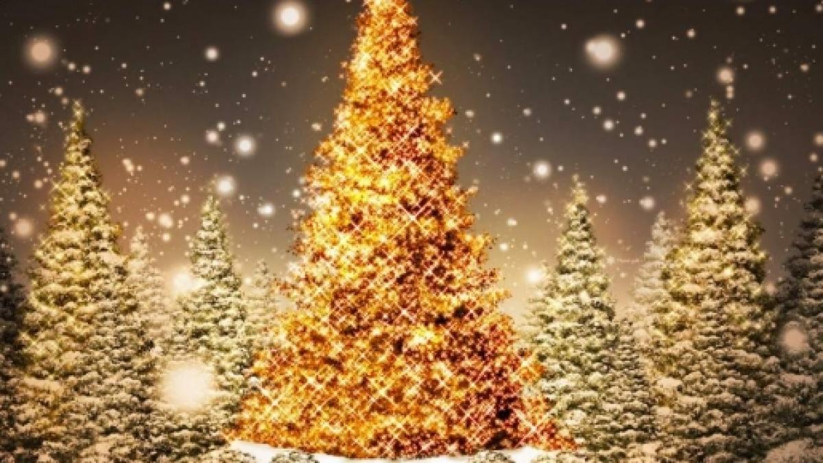 Frasi Natale E Buon Anno.Buon Natale E Felice 2016 Una Sola Dedica Per Due Festivita Ecco Tante Frasi Di Auguri