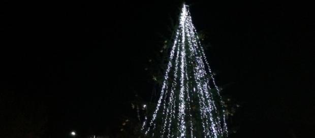 Bradul împodobit este simbolul Crăciunului Bradul împodobit este simbolul Crăciunului