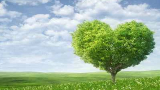 Sponsorizzazione sulla tutela ambientale