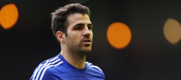 Utime calciomercato, Fabregas alla Juve? Utime calciomercato, Fabregas alla Juve?