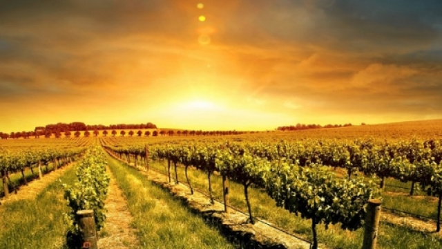 La siccit&agrave; preoccupa gli operatori agricoli