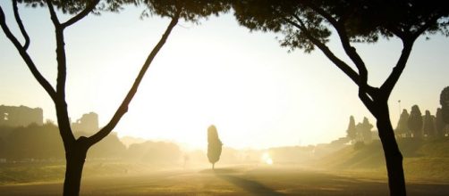 Il Circo massimo in una giornata di nebbia.