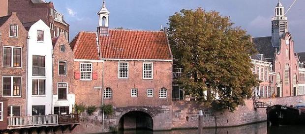 Holanda tiene un feto arduo en el próximo semestre Holanda tiene un feto arduo en el próximo semestre