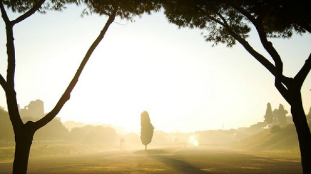 Il Circo massimo in una giornata di nebbia.